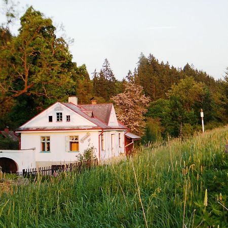 Villa Rainmühle Mariánské Lázně Exterior foto